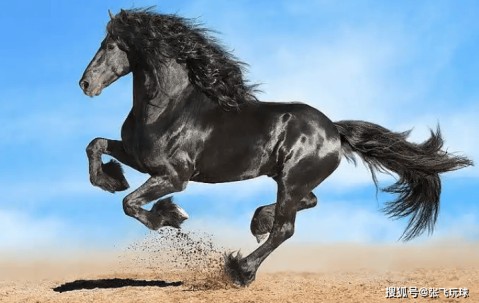 大巴黎遇“敦刻尔克大撤退”？法乙黑马想用铁桶阵“炸航母”